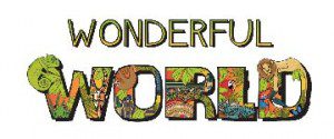 wonderful-world